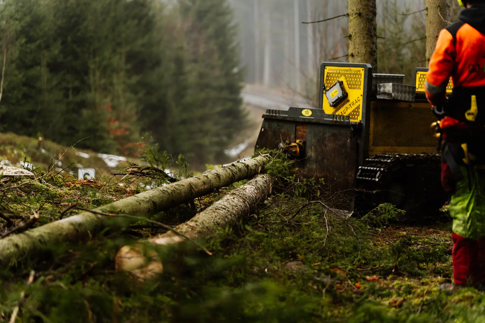 Forstdienstleistungen