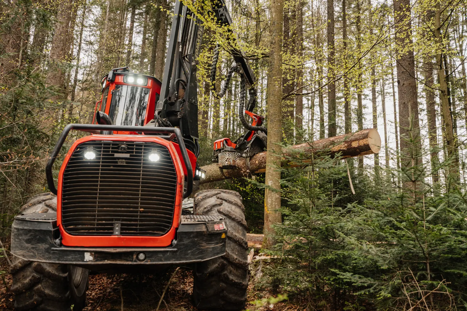 Maschinelle & Motormanuelle Holzernte