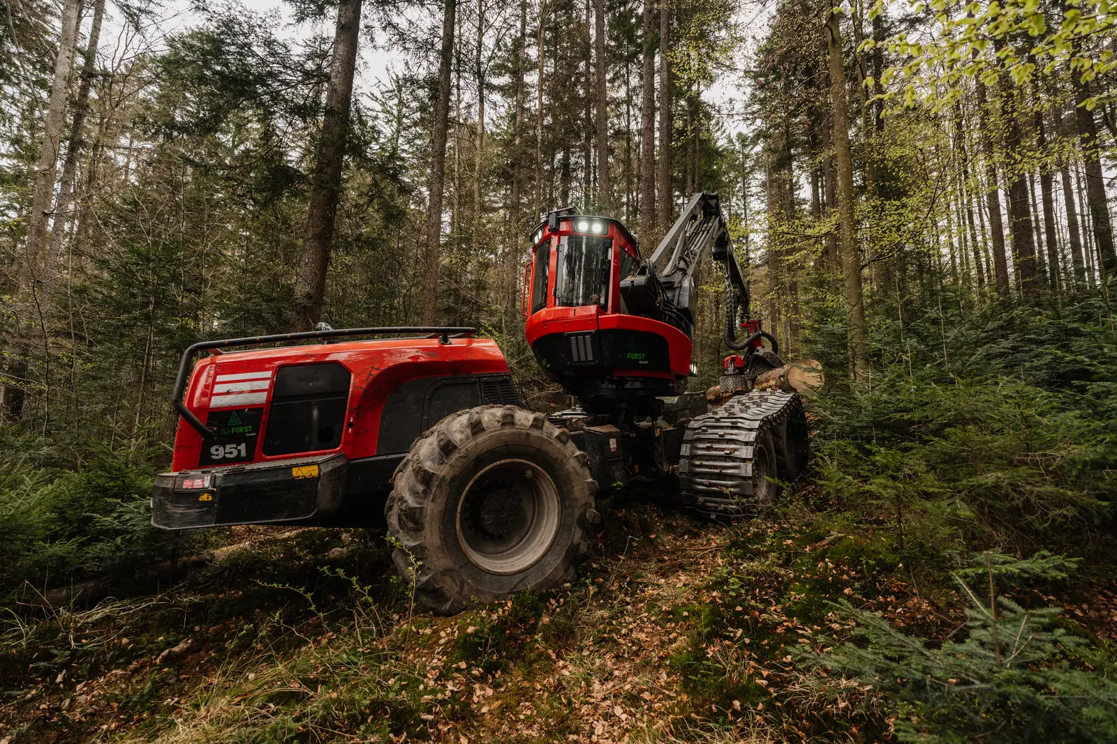 Maschinelle & Motormanuelle Holzernte