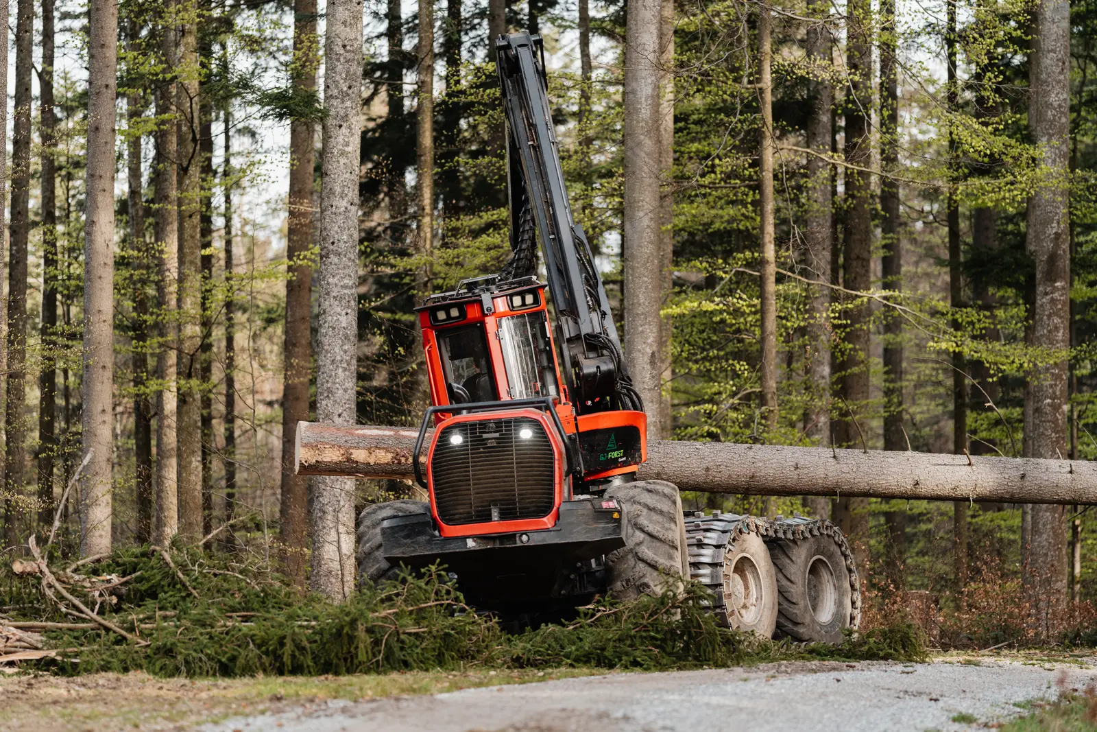 Maschinelle & Motormanuelle Holzernte